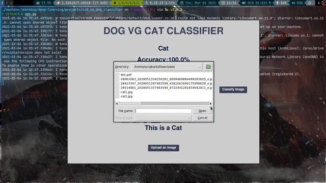 Cat Vs Dog Binary Classifier[VGG19 Model][Tensorflow] смотреть онлайн