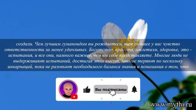 СОЦИАЛЬНОЕ НЕРАВЕНСТВО КОТОРОЕ МЫ САМИ СЕБЕ СОЗДАЛИ - ОТВЕТЫ ПРИШЕЛЬЦА МИТИ смотреть онлайн
