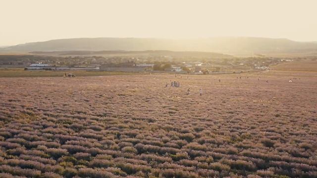 РОМАНТИКА В КРЫМУ. ЛАВАНДА. ТУРГЕНЕВКА. 2019. смотреть онлайн