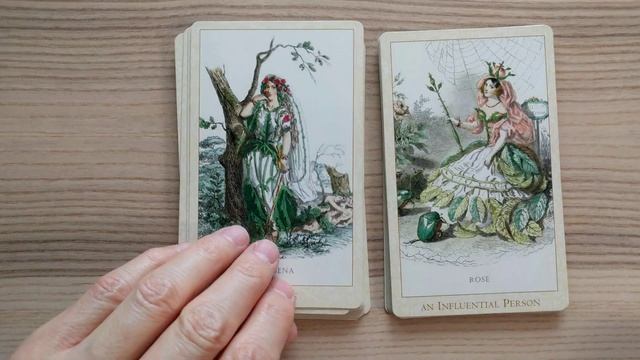Victorian Flower Oracle (Baba Studio) - 4k Flip Through смотреть онлайн