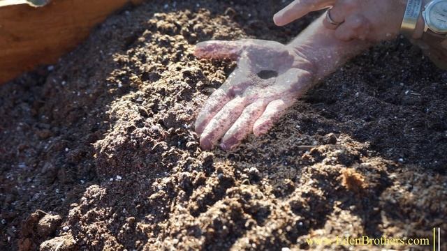 Planting Creeping Thyme смотреть онлайн