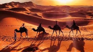 Караван идет .