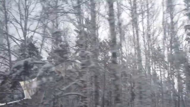 Стихотворение Дувановой Зинаиды Домой через Уреньгу смотреть онлайн