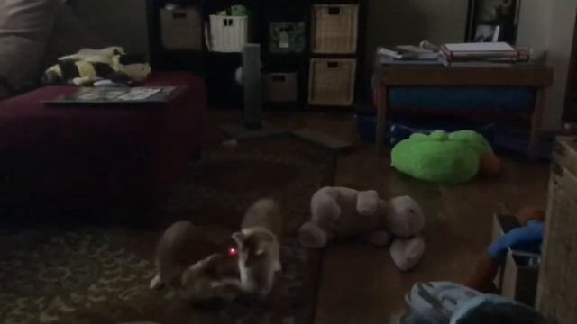 Dot “attack”,! смотреть онлайн