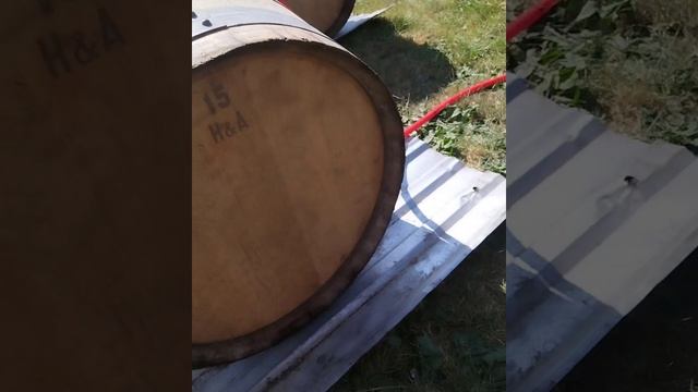 VID_39830224_201012_795.mp4