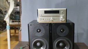 Yamaha RDX E-700