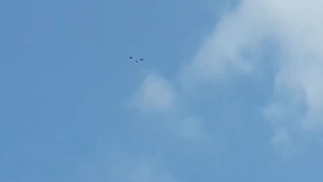 5.04.19.г.утро только перестал снимать их пришёл тренер разогнал но вроде не взял смотреть онлайн