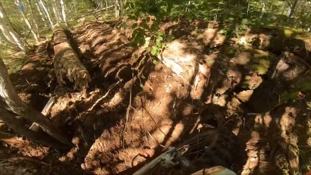 Горназ «Затеряный Мир» ктм 125 ехс смотреть онлайн