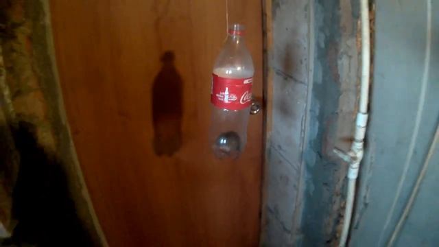 Мышеловка из пластиковой бутылки своими руками вместо магазинной смотреть онлайн