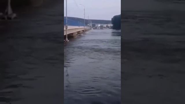 Дома поплыли смотреть онлайн