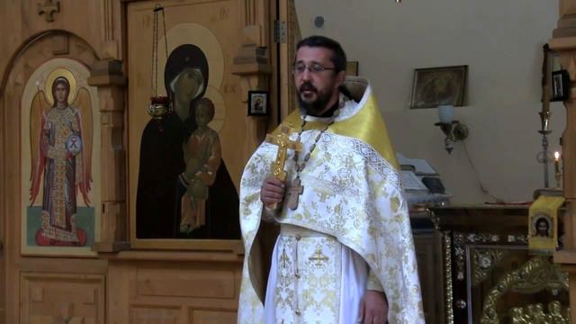 О чудесном лове рыб и нашем апостольском служении. Священник Игорь Сильченков смотреть онлайн