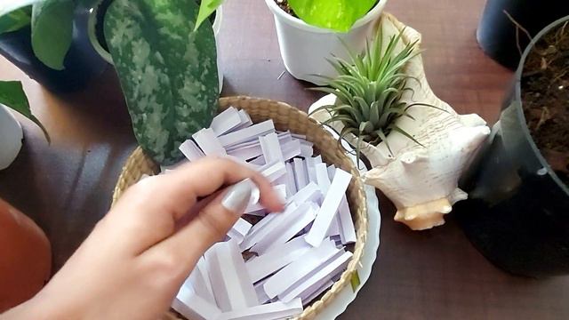 GIVEAWAY PRIZE WINNER ANNOUNCEMENT|give away malayalam смотреть онлайн