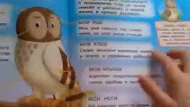 "Животные леса" смотреть онлайн