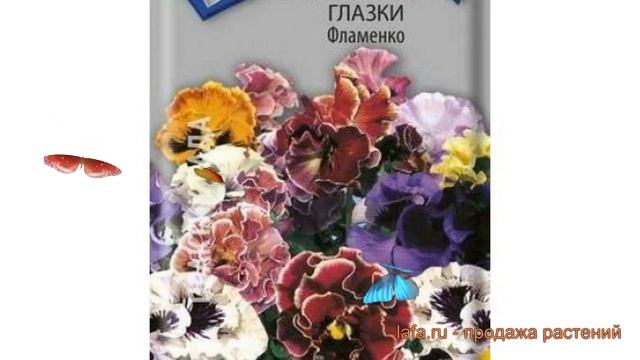 Анютины глазки обыкновенная Фламенко (flamenko) ? обзор: как сажать, семена анютины глазки Фламенко смотреть онлайн