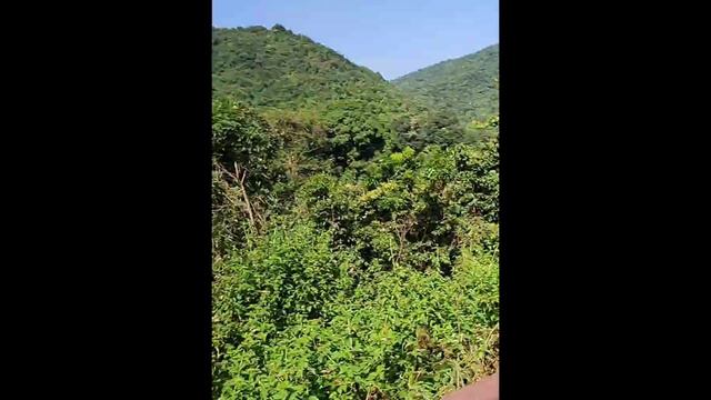KORAPUT TOUR OF 2022 OAS BATCH смотреть онлайн