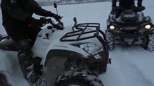 arctic cat 700, BRP, Квадролига48, Липецк смотреть онлайн