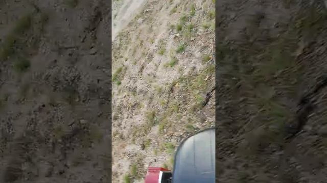 Honda monkey z50 soundcheck смотреть онлайн