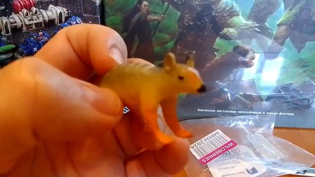 Derri Animals - Numbat - Сумчатый муравьед (намбат) смотреть онлайн