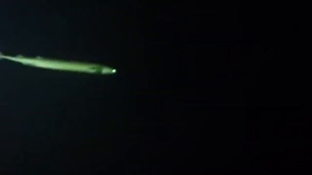 15 Невероятных животных, которых открыли не так давно смотреть онлайн