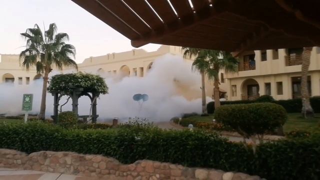 Как травят комаров в Египте 2019. смотреть онлайн