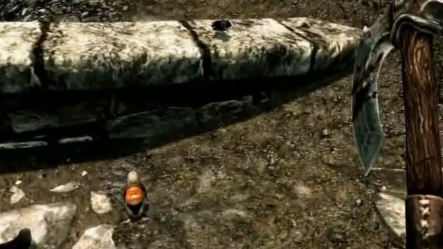 Skyrim Bug # 7 - Dodo Bird? смотреть онлайн
