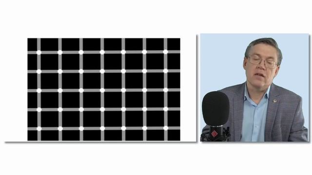 Когнитивные искажения: Дубынин о том, как мозг обманывают органы чувств