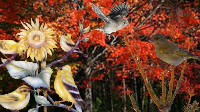 Как прекрасен этот мир ( уроки графике.Декор) смотреть онлайн