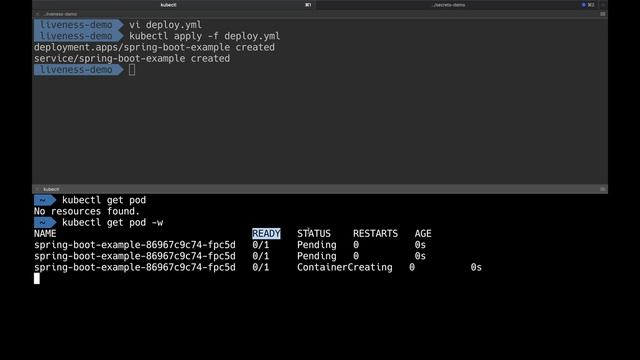 Readiness & Liveness Probes | Robust and Resilient apps in Kubernetes | Tech Primers смотреть онлайн