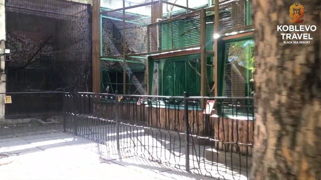 ✔️Коблево Видео: Экскурсия в Николаевский зоопарк из Коблево. Обзор, отзывы. смотреть онлайн