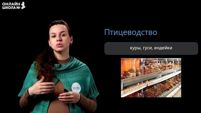 Животноводство – отрасль сельского хозяйства. Видеоурок 28. Окружающий мир 3 класс смотреть онлайн