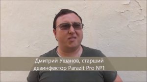 Жук короед типограф на участке. Как избавиться?