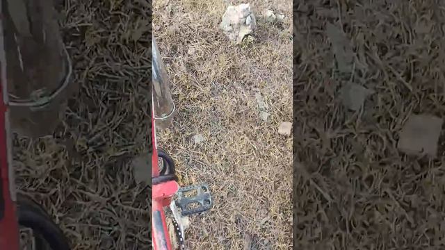 Мы нашли место где должна стоять статуя но её нет( смотреть онлайн