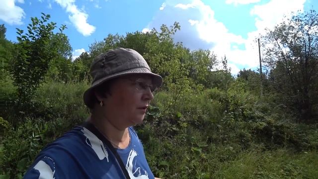 В лог за ягодами. Ирга, черёмуха, малина. 23 июля 2023 смотреть онлайн