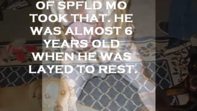 My Movie смотреть онлайн