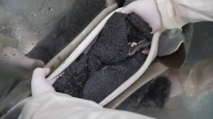 Черная икра, дорогое и интересное производство \ Азиатская кухня \ Корейская еда