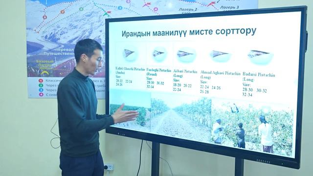 Мисте өстүрүү агротехнологиясы смотреть онлайн
