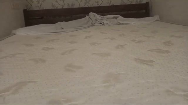 Клиент поделился отзывом о матрасе Vitaflex Light Foam Max смотреть онлайн
