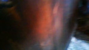 ДЕЛАЕМ ГНЕЗДА ДЛЯ ГУСЕЙ А ТО ГУСИ ЕСТЬ А ЯИЦ НЕТУ.