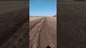 пашет на трицикле