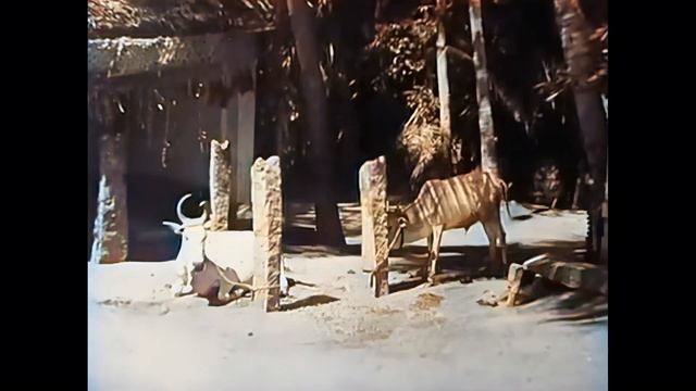 Village life in beautiful Tiruchirappalli (Trichy), Southern India in 1900 (AI enhanced & colorized смотреть онлайн