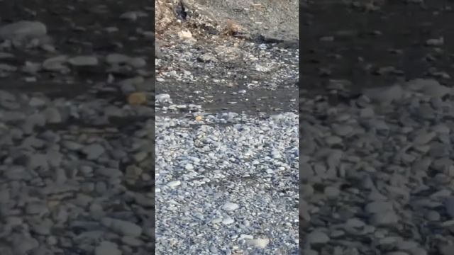 Здесь можно помыться летом от соленой морской воды смотреть онлайн