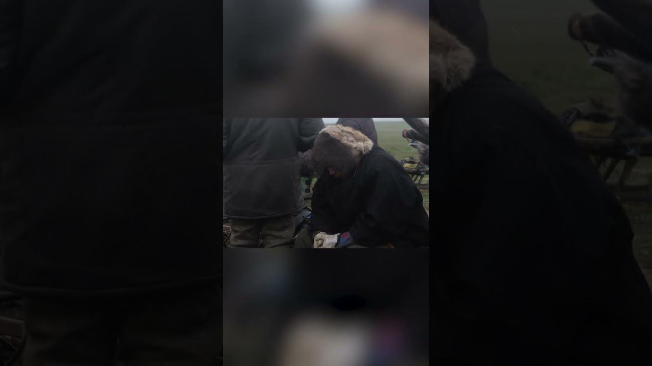 3. УДИВИТЕЛЬНЫЕ И ЗАГАДОЧНЫЕ ЖИТЕЛИ КРАЙНЕГО СЕВЕРА ОБЩИНА ЯМБ ТО 2019 смотреть онлайн
