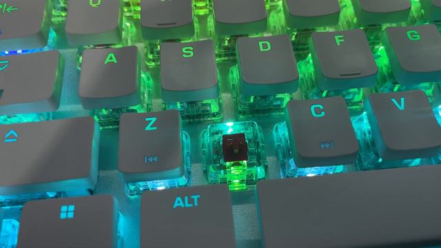 The Best 65% Mechanical Keyboard I've Tried! Roccat Vulcan II Mini Review! смотреть онлайн