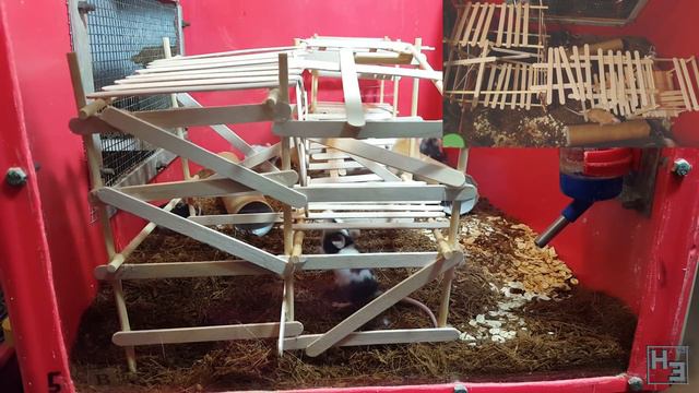 Ask a Herbert Erpaderp 16: Sweet Sixteen смотреть онлайн