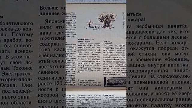 Больше кальция - длиннее жизнь! смотреть онлайн