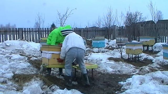 замена дна улья смотреть онлайн