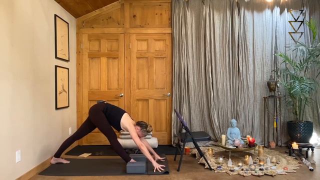 1 Hour Yoga Lab: Yoga Asana and the Muladhara Chakra / Root Chakra with Seane Corn смотреть онлайн