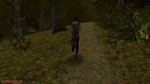 (9) Дорога в малый замок - Диккурик