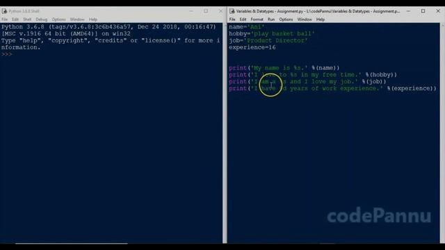 L1 - Wk 2 - V5 - Variables & Datatypes | Printing variables | Python for students смотреть онлайн