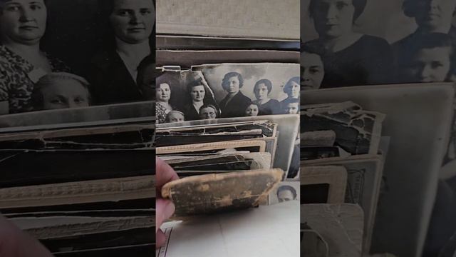 Продал родственников смотреть онлайн